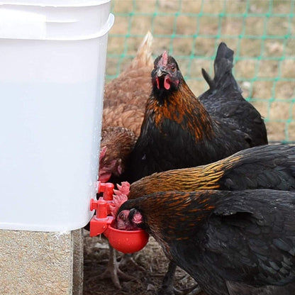 Automatic Chicken Water Cup Bird Coop