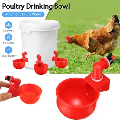 Automatic Chicken Water Cup Bird Coop