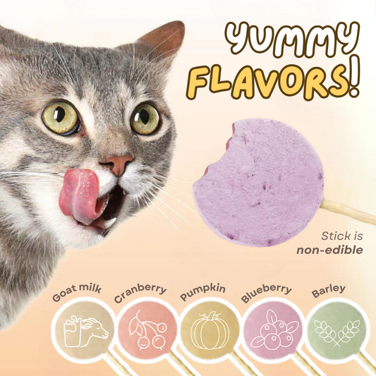 Celery Pets Lollipop Cat Treat